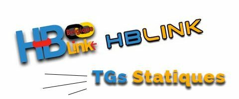 Choisir ses TGs statiques sur HBlink.fr